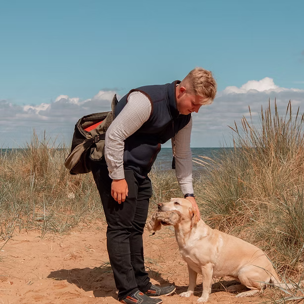 Dog training gallery